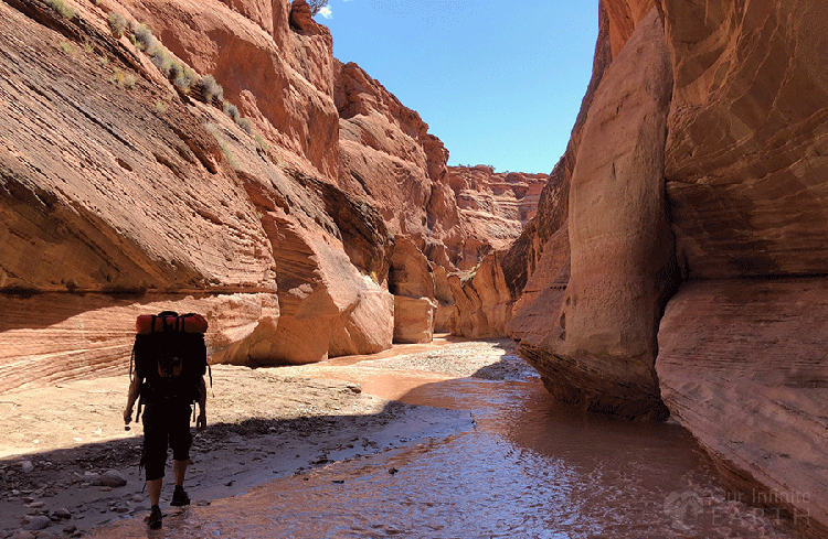 Backpacking Paria Canyon Maps Trailheads Itinerary More