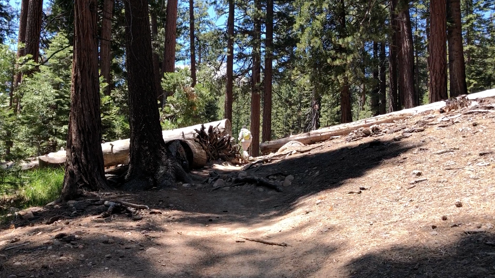 half-dome-hike-trail