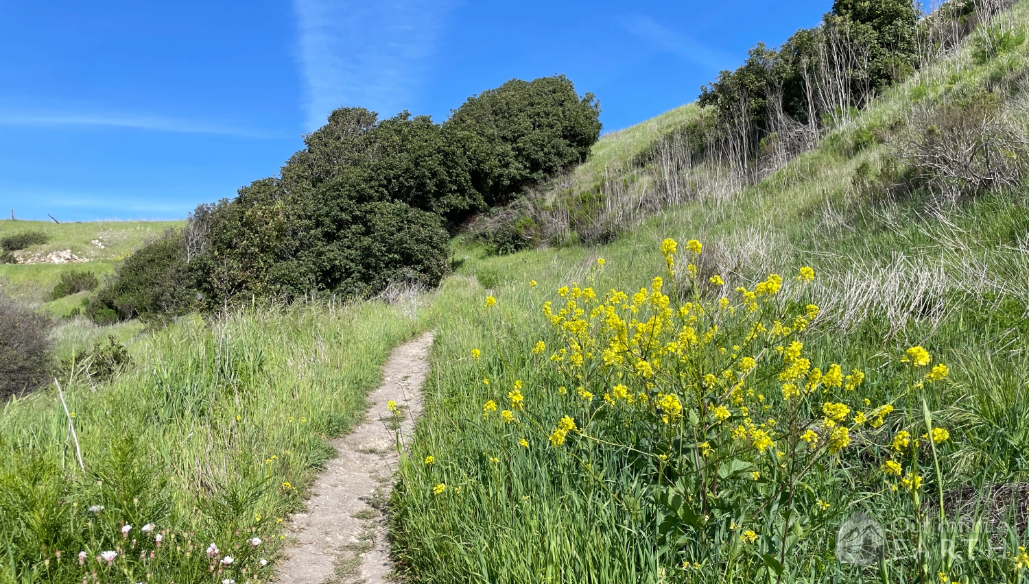 santa-cruz-trail-2